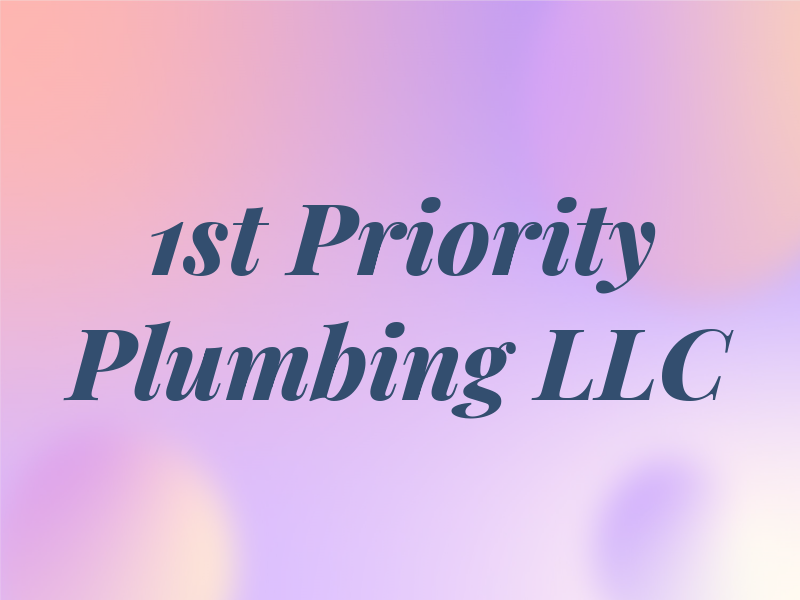 1st Priority Plumbing LLC