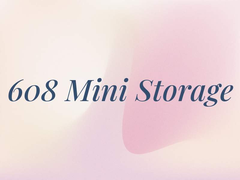 608 Mini Storage