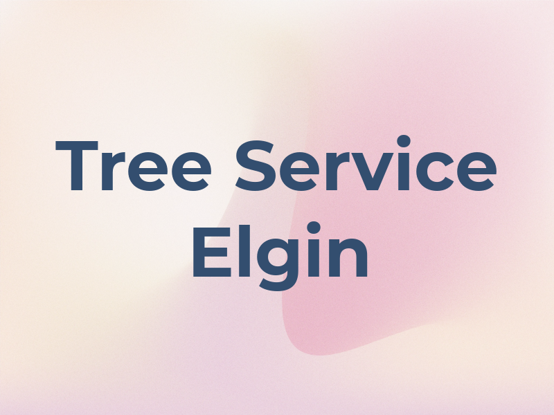 M C Tree Service Elgin