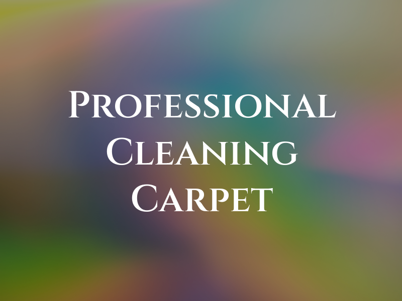 M&I Professional Cleaning Carpet