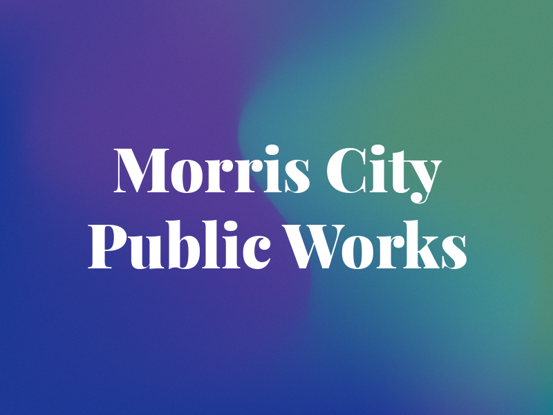 Mt Morris City Public Works
