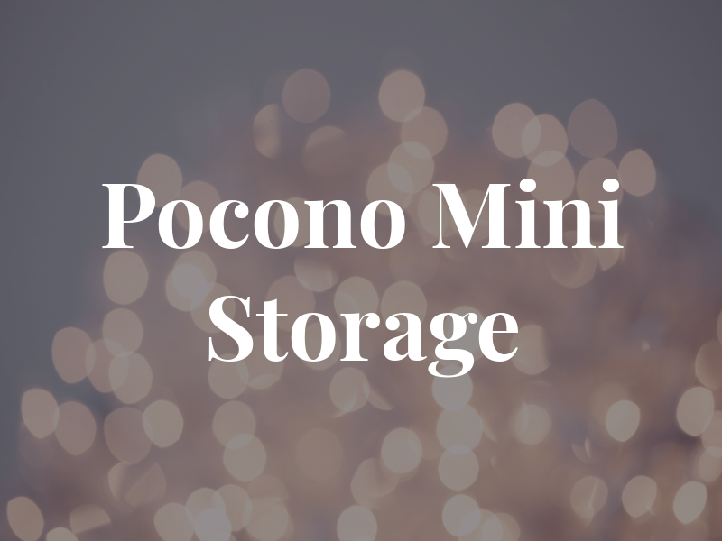 Mt. Pocono Mini Storage