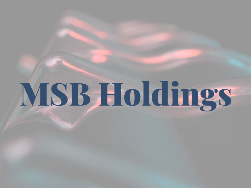 MSB Holdings