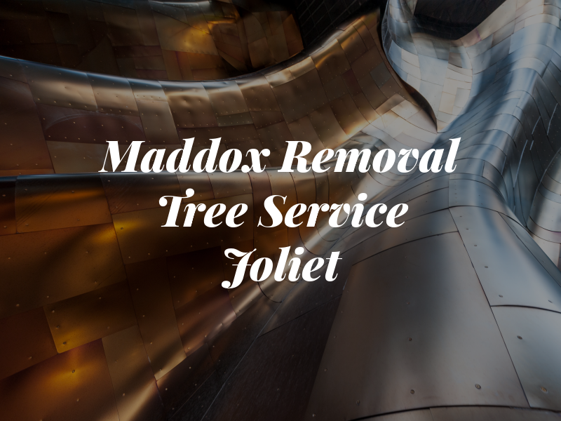 Maddox Removal Tree Service Joliet