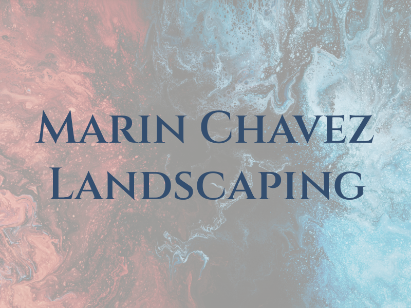 Marin Chavez Landscaping