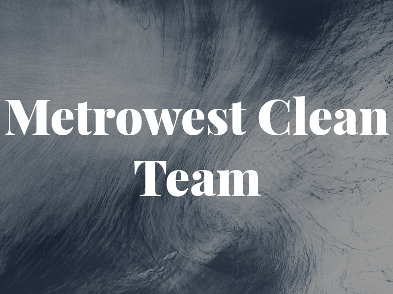 Metrowest Clean Team
