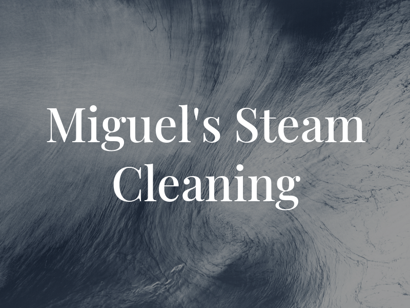 Miguel's Steam Cleaning