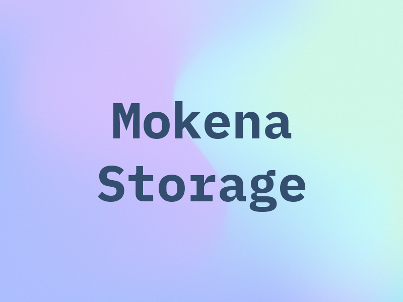 Mokena Storage