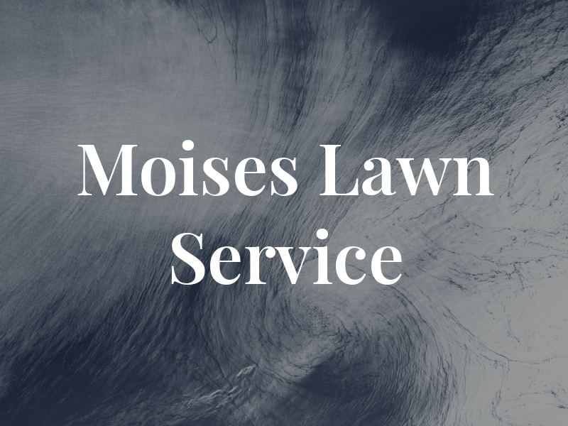 Moises Lawn Service