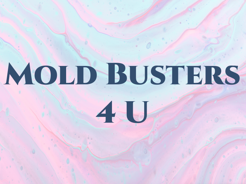 Mold Busters 4 U