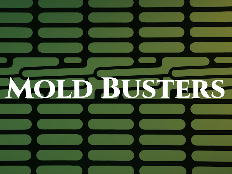 Mold Busters