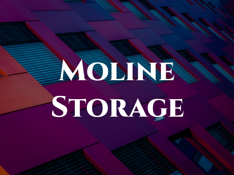Moline Storage