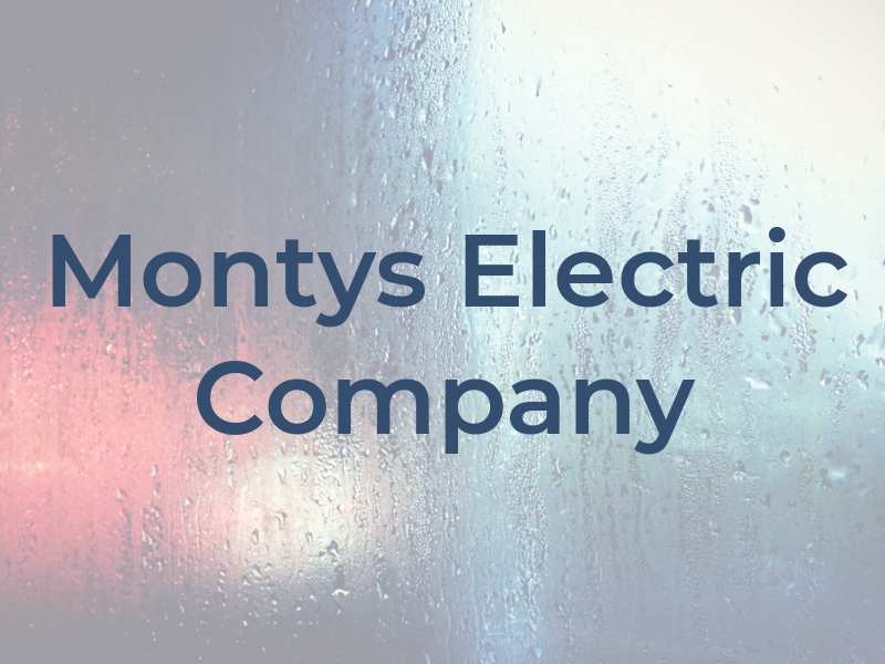 Montys Electric Company