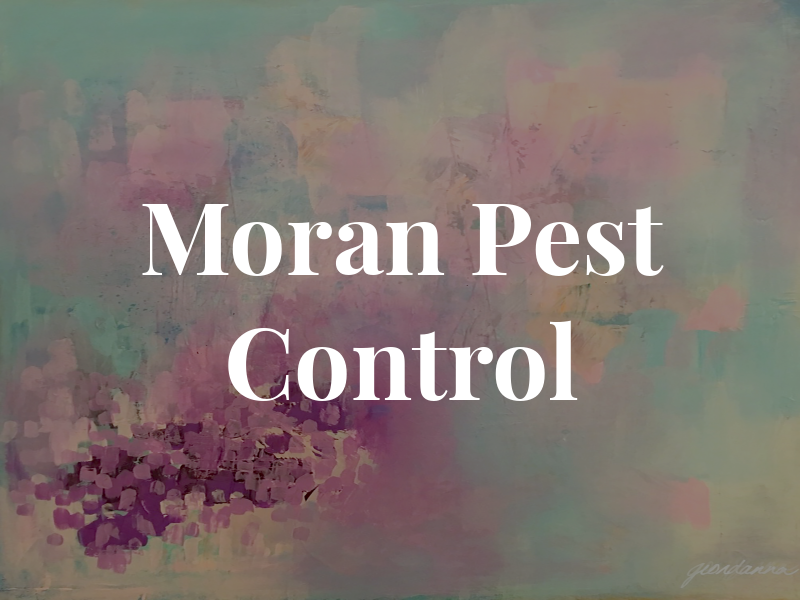 Moran Pest Control