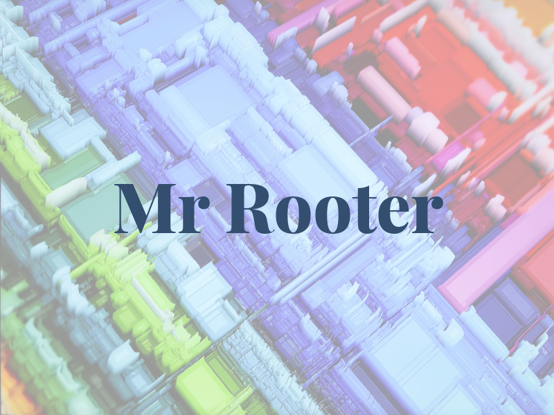 Mr Rooter
