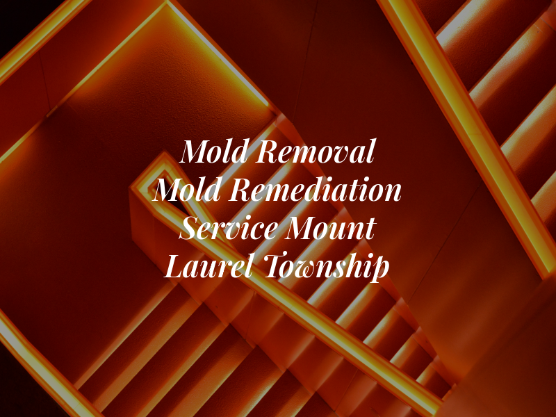 NFA Mold Removal & Mold Remediation Service Mount Laurel Township