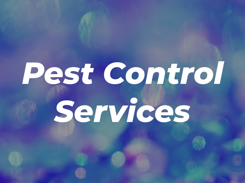 NP Pest Control Services