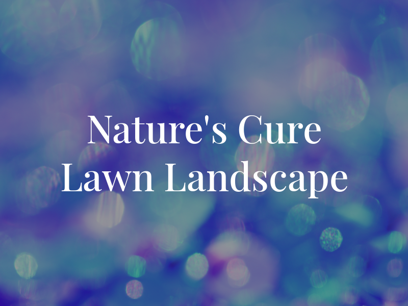 Nature's Cure Lawn & Landscape