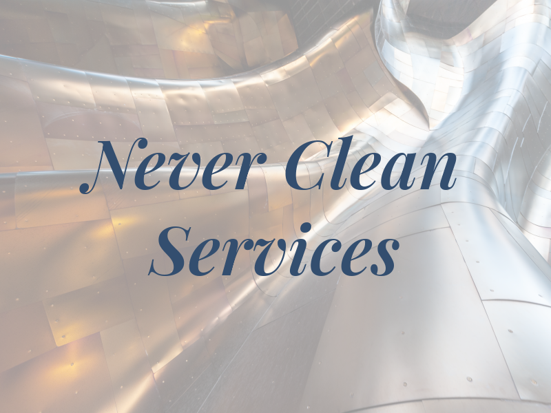 Never 2 Clean Services