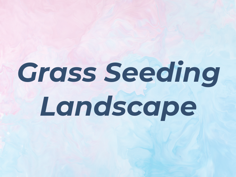 New Grass Seeding & Landscape