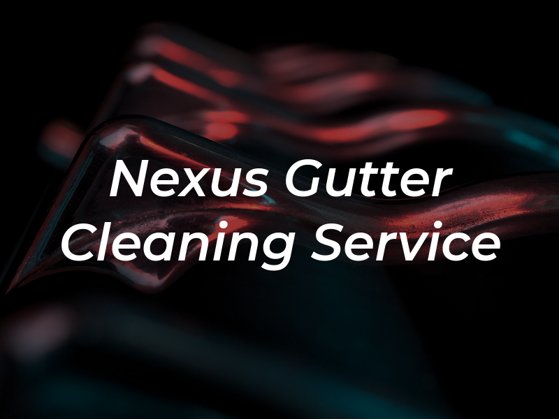 Nexus Gutter Cleaning Service