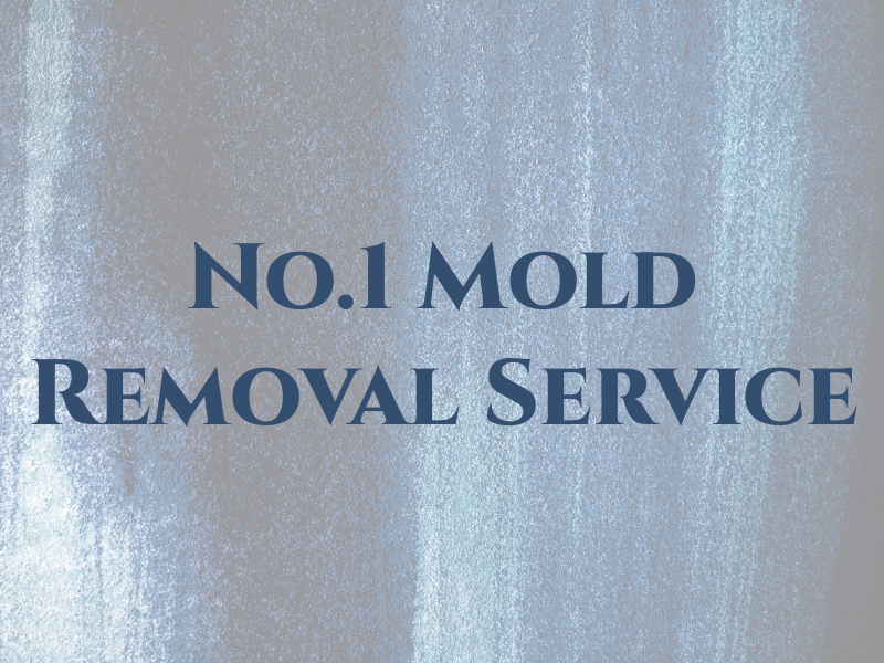 No.1 Mold Removal Service