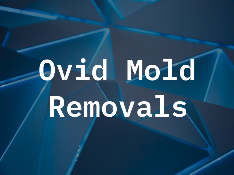 Ovid Mold Removals LLC