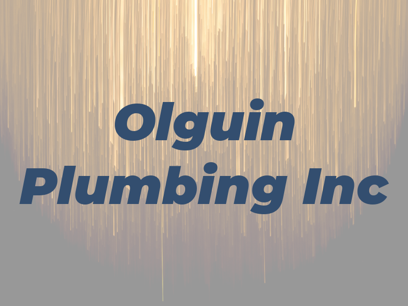 Olguin Plumbing Inc