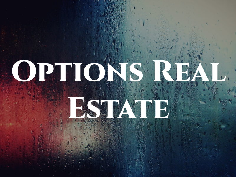 Options 153 Real Estate