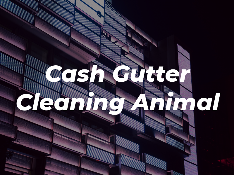 A Cash Gutter Cleaning & Animal