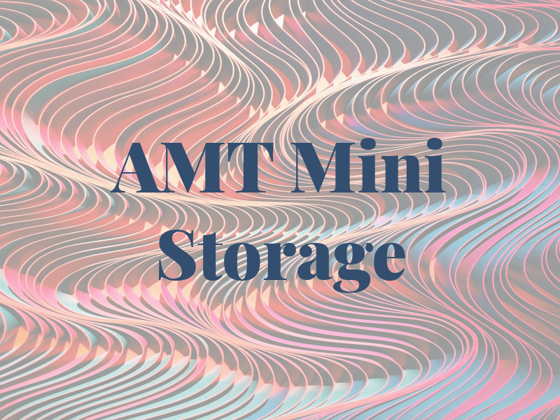 AMT Mini Storage