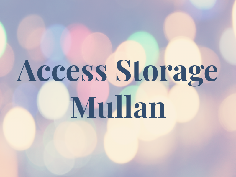 Access Storage Mullan