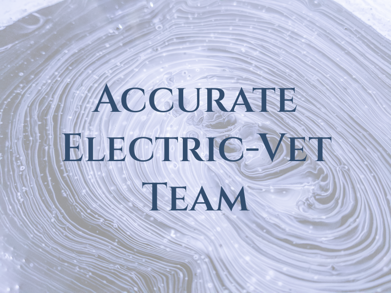 Accurate Electric-Vet & Son Team