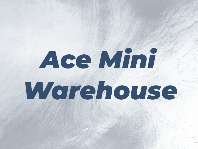 Ace Mini Warehouse