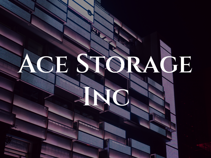 Ace Storage Inc