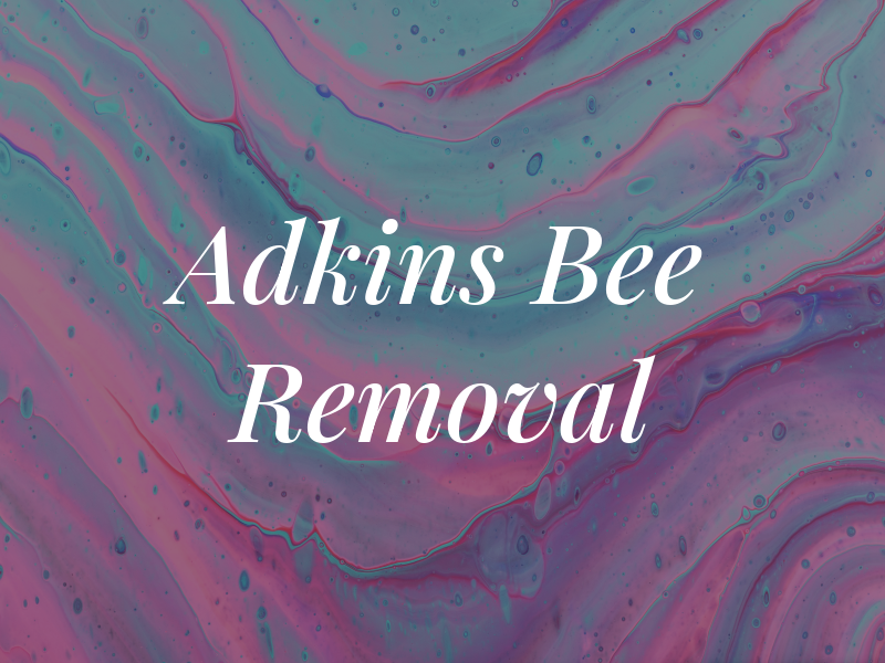 Adkins Bee Removal