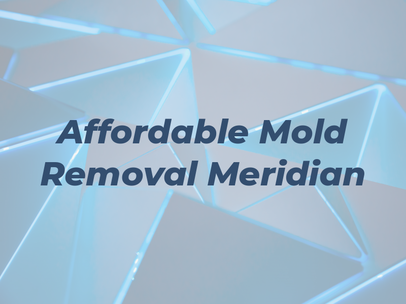 Affordable Mold Removal Meridian