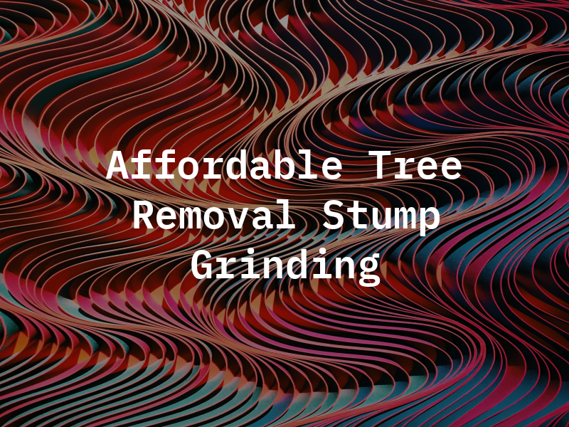 Affordable Tree Removal and Stump Grinding
