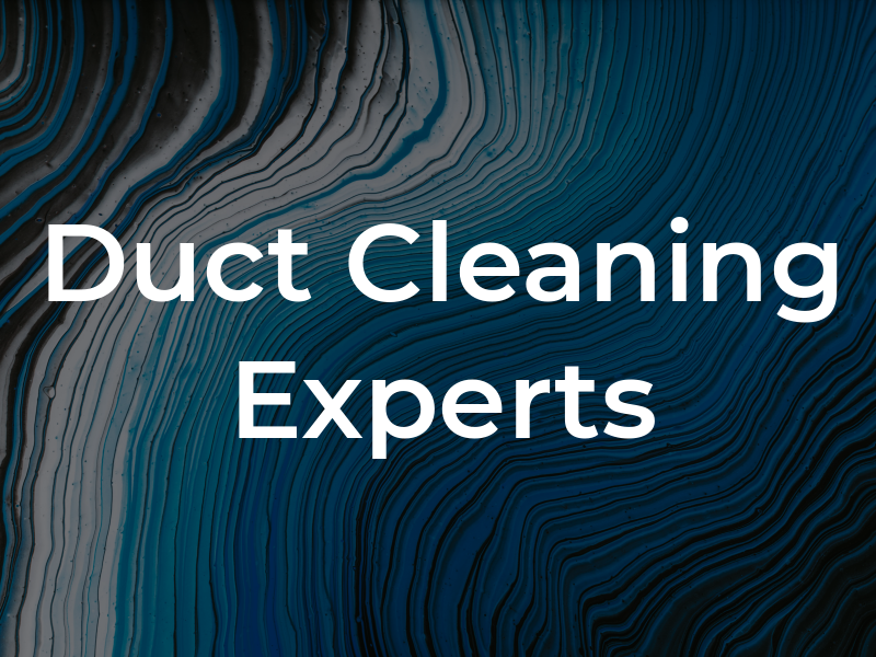 Air Duct Cleaning Experts