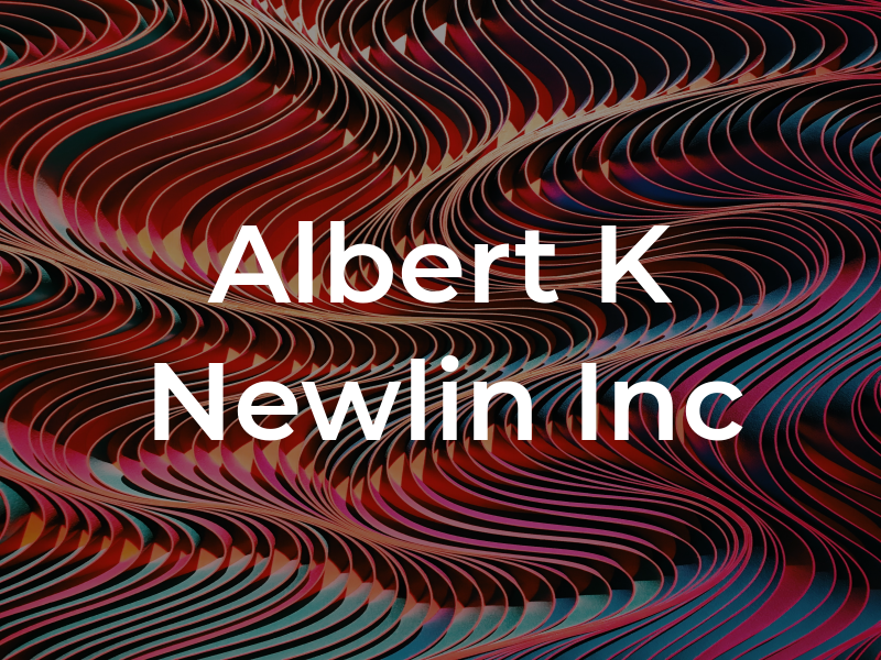Albert K Newlin Inc