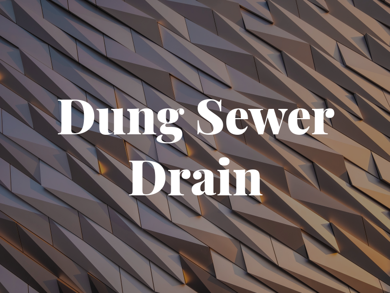 All Dung Sewer & Drain