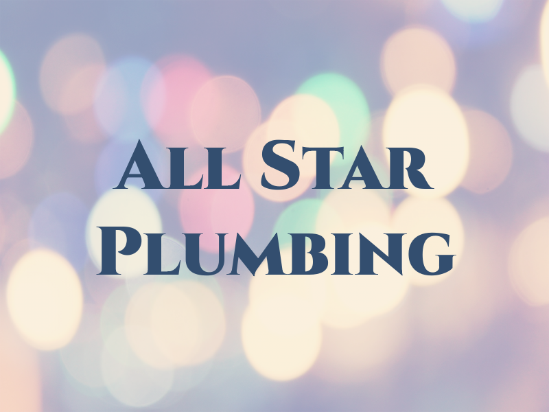 All Star Plumbing