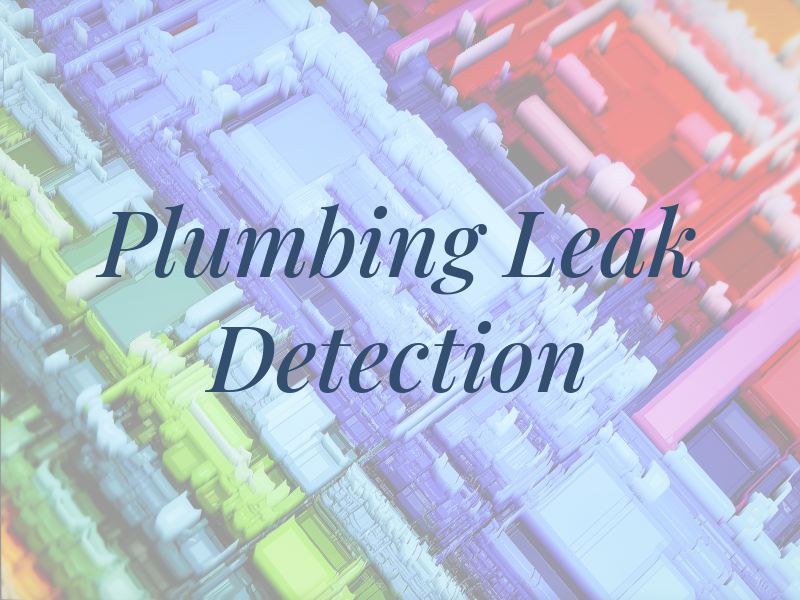 Alt Plumbing & Leak Detection