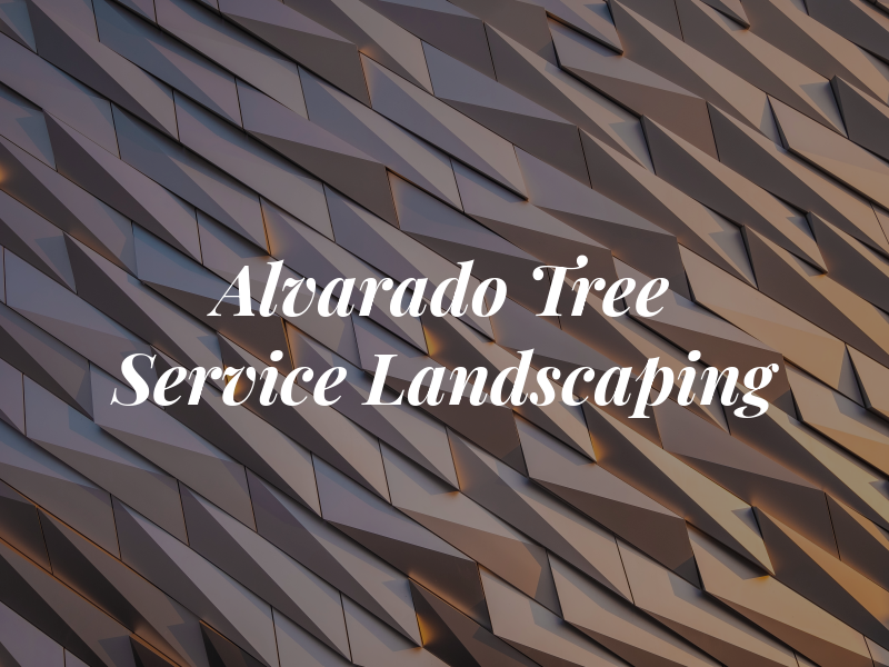 Alvarado Tree Service & Landscaping