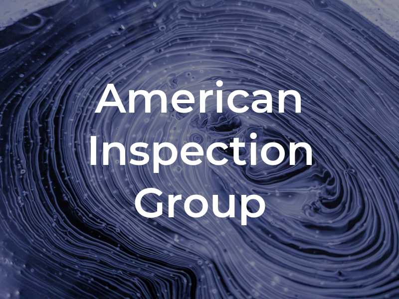 American Inspection Group Inc