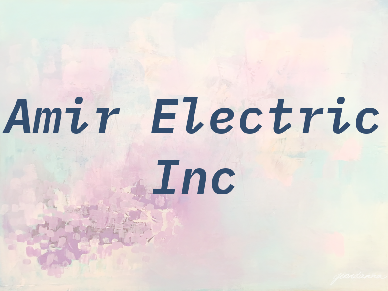 Amir Electric Inc