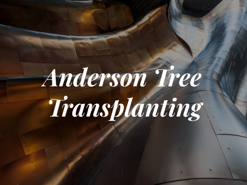 Anderson Tree Transplanting