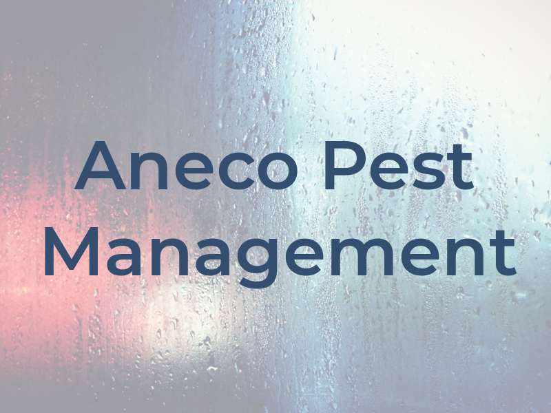 Aneco Pest Management