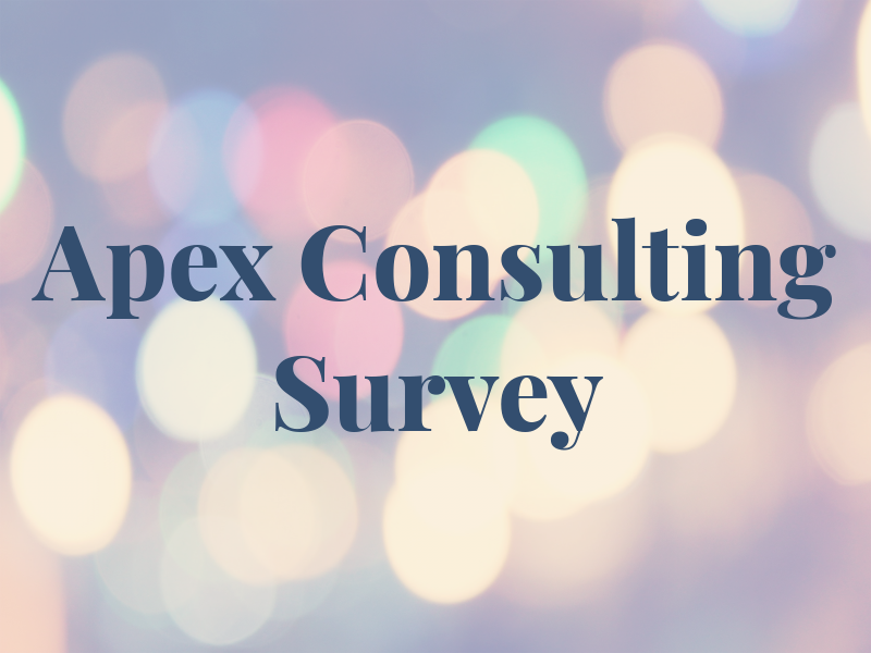 Apex Consulting Survey