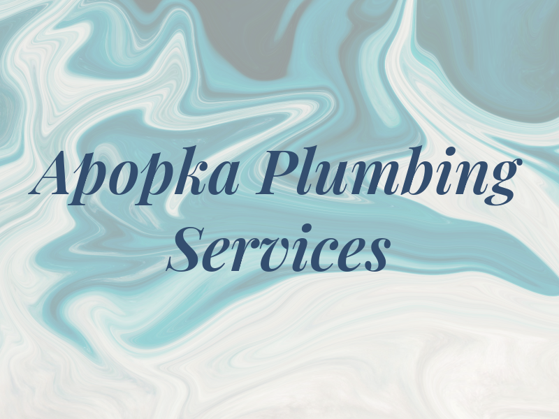 Apopka Plumbing Services